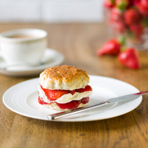 Plain Scones | Kara Foodservice Wholesale Bakery